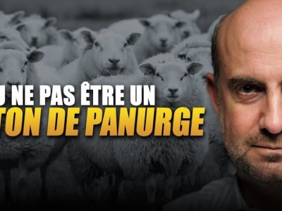 Éric Verhaeghe sur Radio Athéna : Être ou ne pas être un mouton de Panurge
