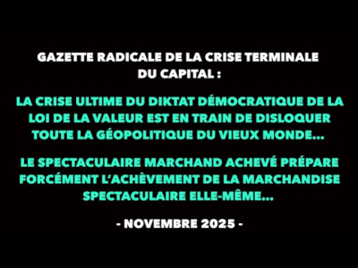Francis Cousin : Gazette radicale de la crise terminale du Capital (Novembre 2025)