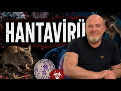 Hantavirus : Faut il avoir peur et que faire ?