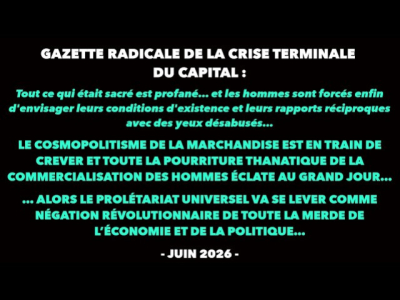 Francis Cousin : Gazette radicale de la crise terminale du Capital (Juin 2026)