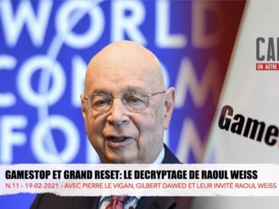 GameStop et Grand Reset : Le Décryptage de Raoul Weiss (Modeste Schwartz)