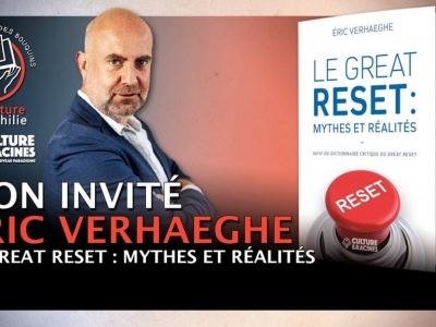 Eric Verhaeghe - Le Great Reset : Mythes et Réalités I Entretien sur la chaîne « Des paluches et des bouquins »
