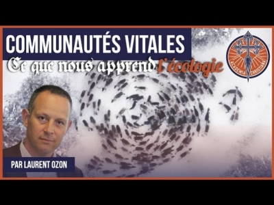Conférence de Laurent Ozon : Communautés vitales, ce que nous apprend l'écologie
